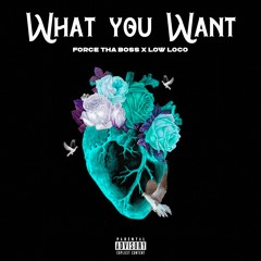 Force Tha Boss X Low Loco - What You Want