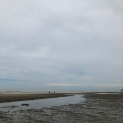 Vinatrance track #2 | CHIKIEN