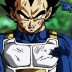 Dragon Ball Super Saiyan Pride Original