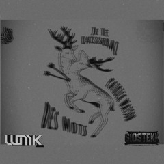 Je-te-laisserai-des-mots(Patrick Watson) feat _SiosTekk_(WMK)