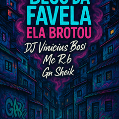 MC RB - E NO BECO DA FAVELA ELA BROTOU ( DJ VINICIUS BOSI - 2025 )