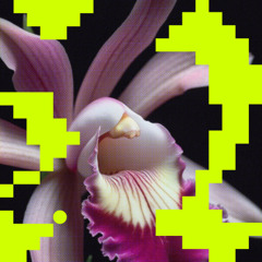 Milio - Erosie (Jackontrax Edit)