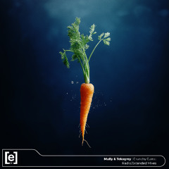 Mully & Tekagrey - Crunchy Carrot (Radio Mix)
