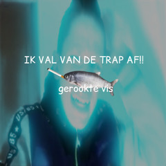 IK VAL VAN DE TRAP AF