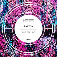 Sattam - This Feeling [Eton Messy Records]