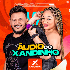 BALANÇA ESSA SANFONA