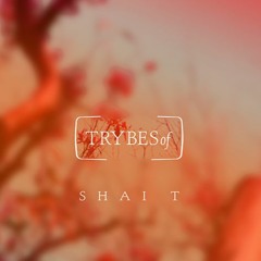 Shai T - Miracles  [TRYBESof]