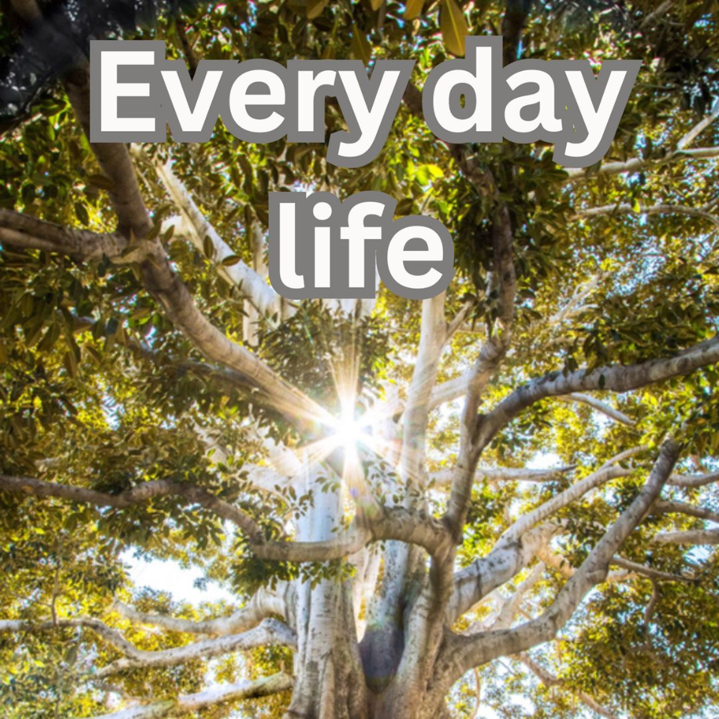 Every Day Life - Soham, Angus, Ollie and Bell - St Michael's College episode artwork