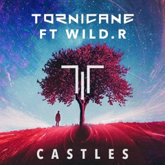 Castles ft. WiLD.R