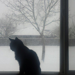 {{Anila}} 🌀ཐིཋྀ🌀