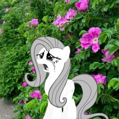 наша "любовь" пошла мне во вред