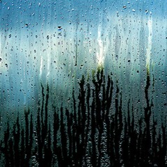 Funky Rain