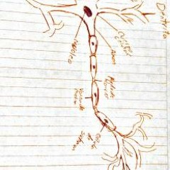 La De Prada - Bhale, Daniku