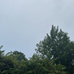 rain at 3