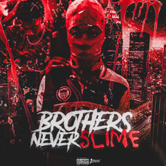 DistroKid Wheel of Playlist