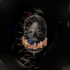 Rat Cage