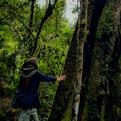 180425 / Listen Fauna / Alexia Fernandez / ANP PNYCH Binaural