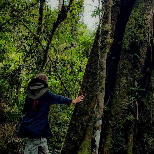 180425 / Listen Fauna / Alexia Fernandez / ANP PNYCH Binaural