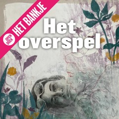 Het overspel