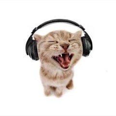 Meow Remix