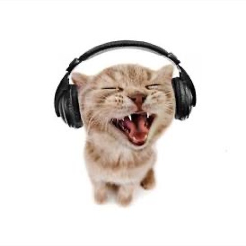 Meow Remix