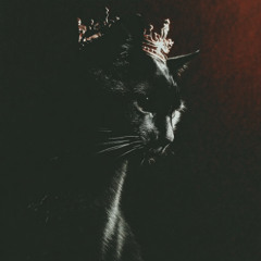 Shadow with a crown