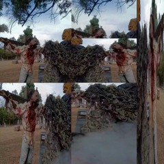 chirping {killremorse}