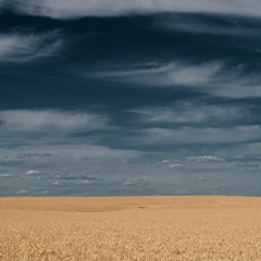 Our
