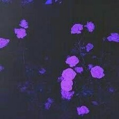 Dark Night