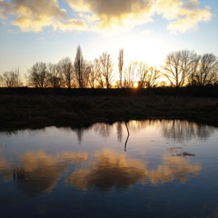 Altos - Down To The River