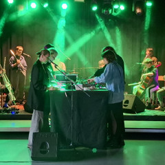 the bizarre lakeside orchestra (Live at Kaff Frauenfeld, 07.06.2025)