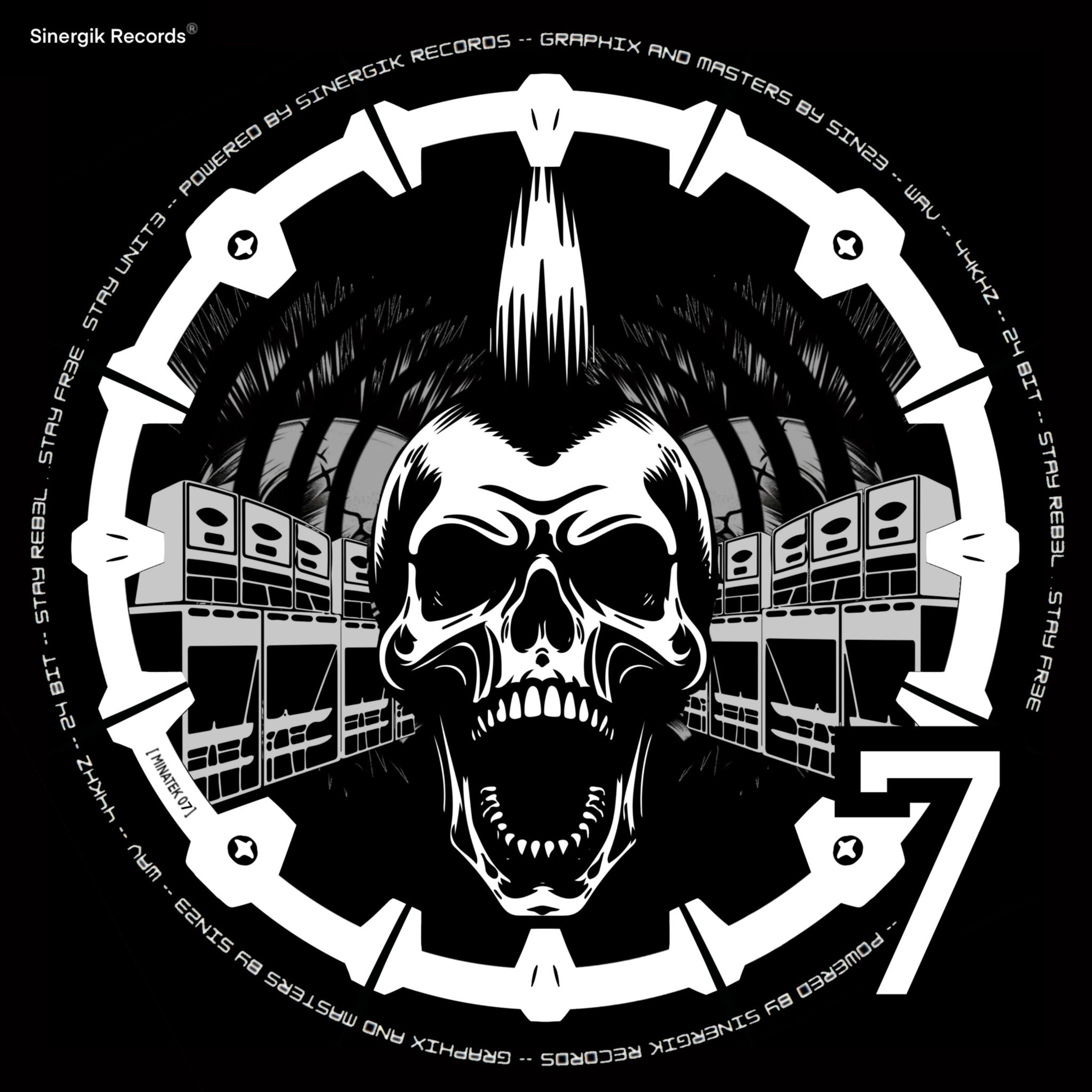 SINERGIK RECORDS ²³