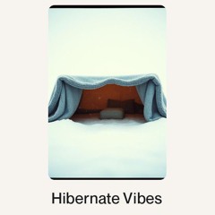 Hibernate Vibes.wav
