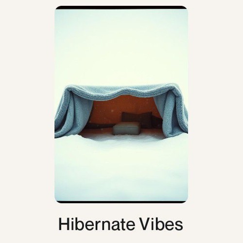 Hibernate Vibes.wav