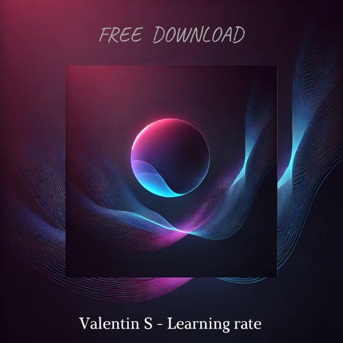 Valentin S - Learning rate