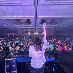 V FOR VIENNA: MIDWEST FURFEST 2024