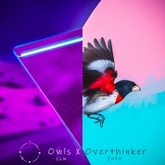 Owls X Overthinker (CLN/INZO Mashup)
