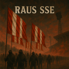 RAUS SSE