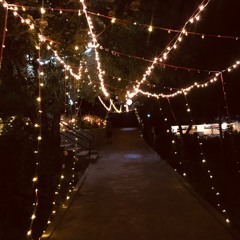 Zeb Bangash Ft. - Shamali Afghan - Saad Sultan - Shireen Guftaar Daari