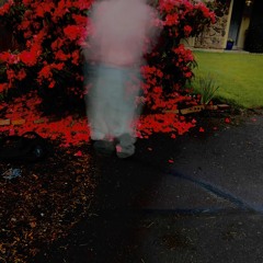 spike lee ft ivcryinn