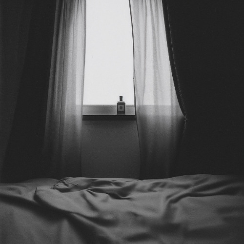 The Scent of Her Summer