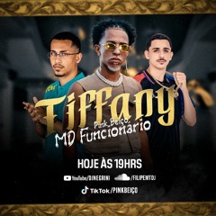 MD FUNCIONARIO - TIFFANY PESADÃO - DJ FILIPE MT & DJ NEGRINI feat. |Pink Beiço