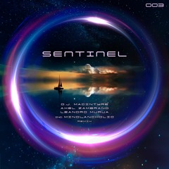PREMIERE: D.J. MacIntyre, Axel Zambrano, Leandro Murua - Sentinel (Original Mix) [Starlight Music ]