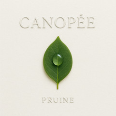 Canopée