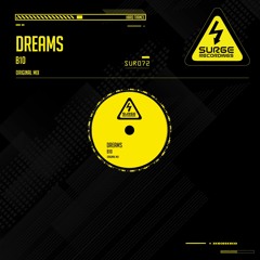 (P) SUR072-1 B10 - Dreams (Original Mix) Re Master