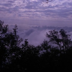 thể chế không cần đánh thuế