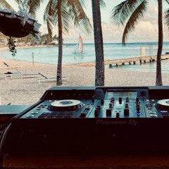 Geckojaun (en situation techno dj set)