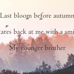 haiku #515: Last bloom before autumn / Stares back at me with a smile / My younger brother