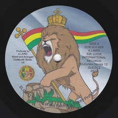"OUT NOW" SLID012 Dub Rocker/Rockers Dub Hand Cut Poly Vinyl Dubplate Series 12 PROMO