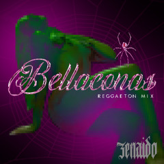Bellaconas Reggaeton Mix - Mujeres Del Perreo